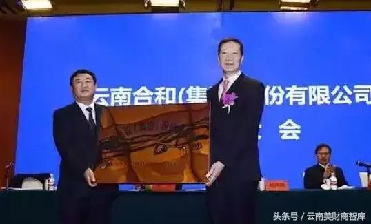 云南十大强企业,云南市值500个亿的集团