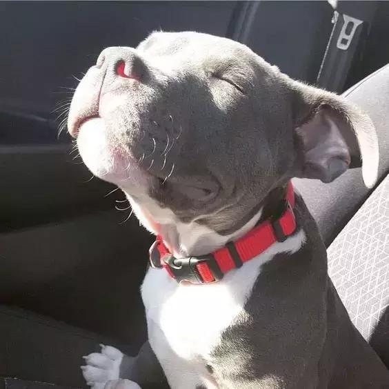 什么精华用了不反黑效果好,为什么你用护肤品感觉白了