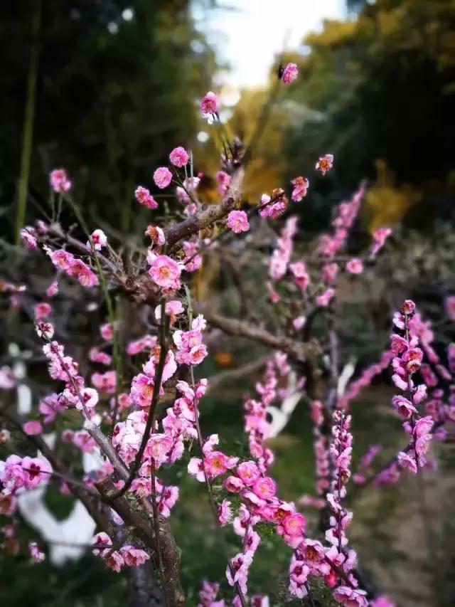 试驾上汽荣威i6p,2017款荣威i6三缸机试驾