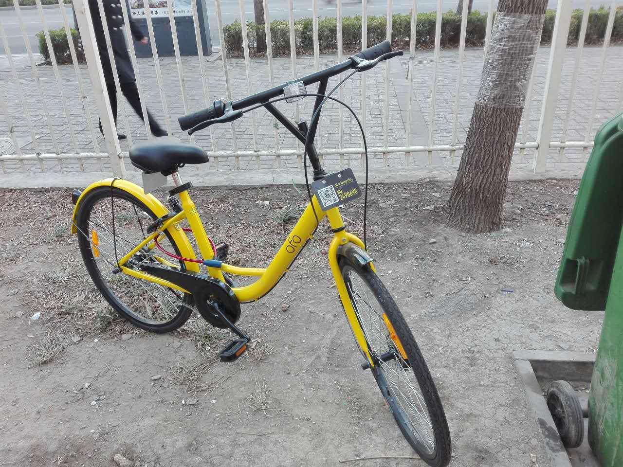 ofo共享单车管理员,ofo小黄车招聘维护人员