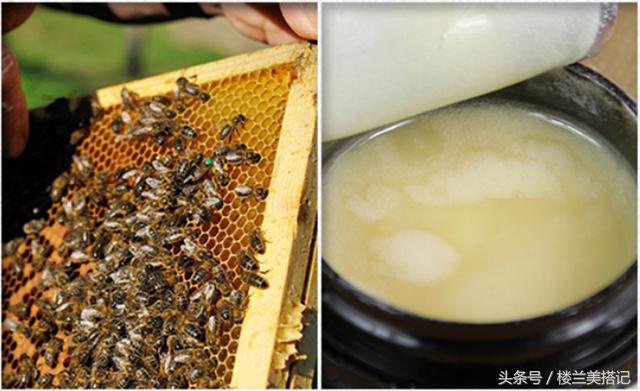 嘴唇干裂用什么护肤品好,不是所有问题都有解决的办法