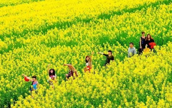 用VR看花海是种怎样的体验？这周就去免费看~