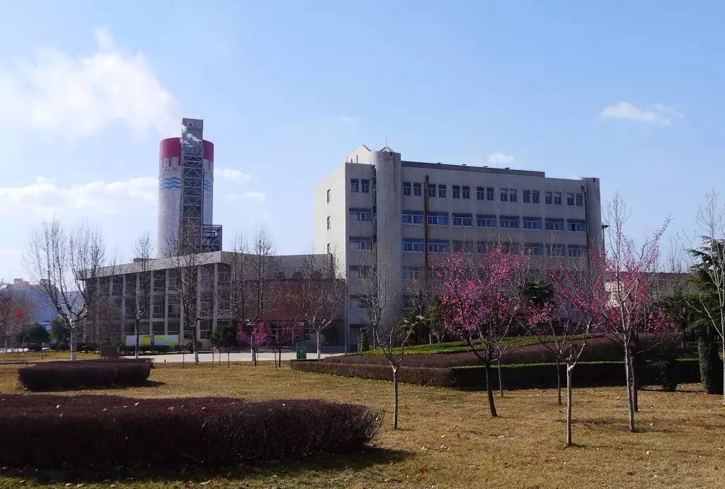 印象渭南：情寄雪梅