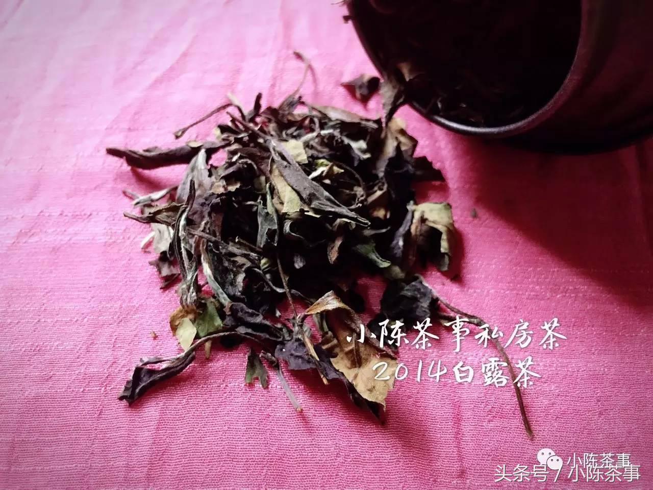 痛风患者科学饮食调理书,痛风患者喝什么茶