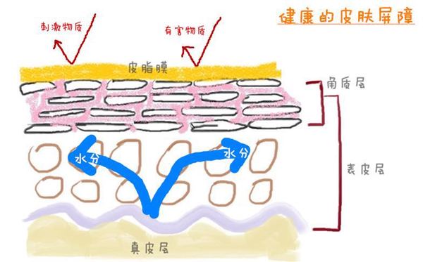 皮肤是敏感肌容易过敏怎么修复,敏感肌过敏是什么症状