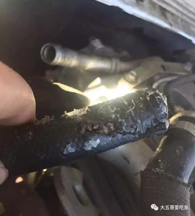 帕拉丁适合年轻人的硬派越野,硬派越野帕拉丁