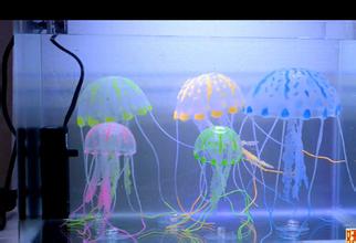 适合大学生的100个创业小项目,适合学生的0成本创业项目有什么