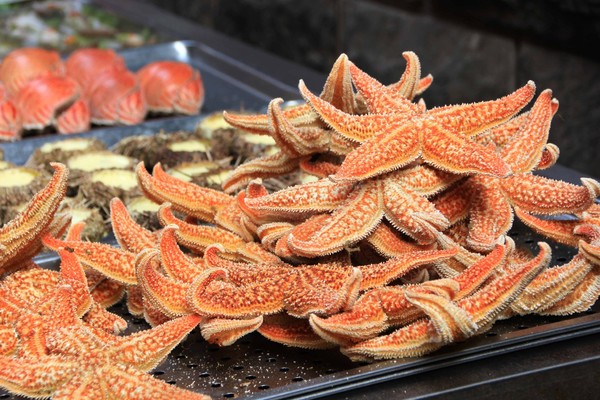 去青岛吃海星,青岛旅游吃海鲜自述