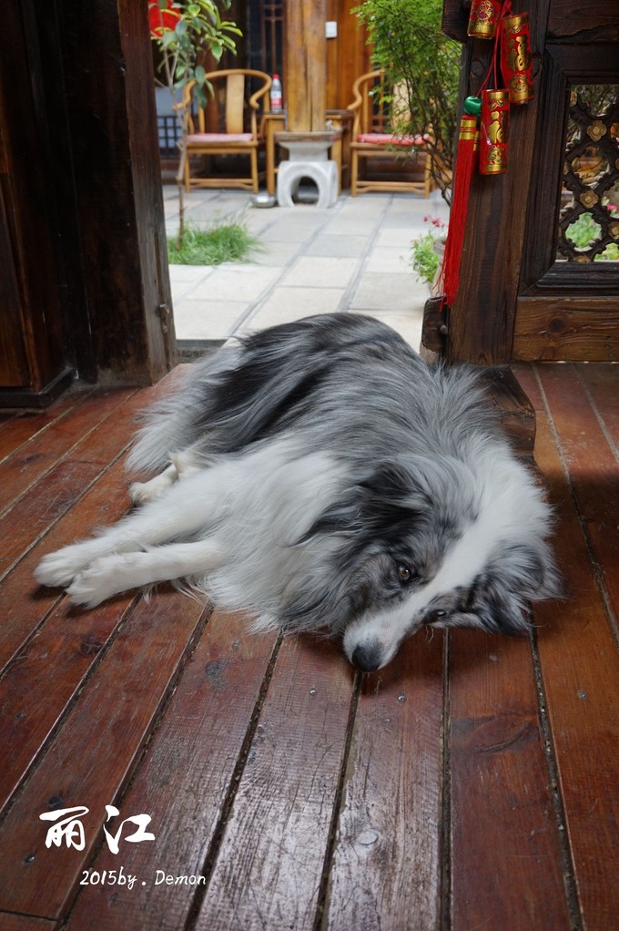 彩云以南，我们终于出发の我带着你，你带着钱！