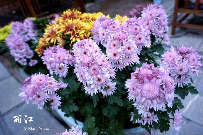 彩云以南，我们终于出发の我带着你，你带着钱！