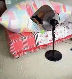 立体空调高端,360度全方位立体环绕空调