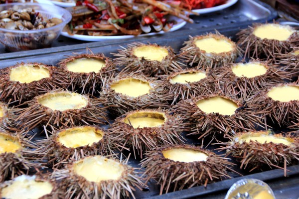 去青岛吃海星,青岛旅游吃海鲜自述