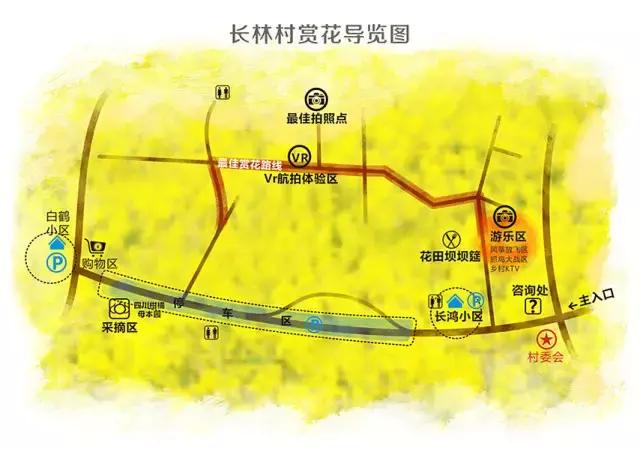 用VR看花海是种怎样的体验？这周就去免费看~