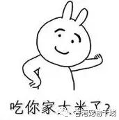 兔子养了几天不想养了,自从养了兔子就开始天天不顺