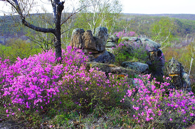 探访将军洞,探秘将军洞