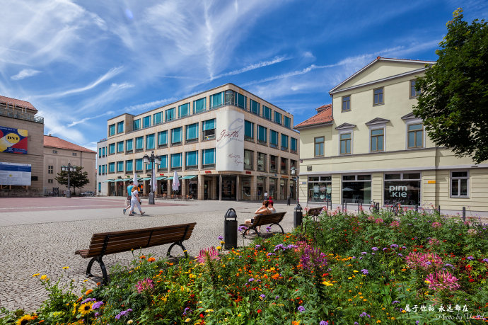 歌德与席勒,歌德为席勒写的诗