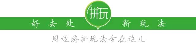 用VR看花海是种怎样的体验？这周就去免费看~