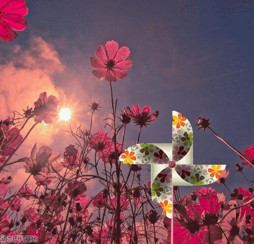 周末特色旅游景点推荐沈阳,沈阳周末好去处长白岛森林公园