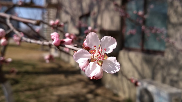 699元红米手机推荐,2900元左右续航好的手机