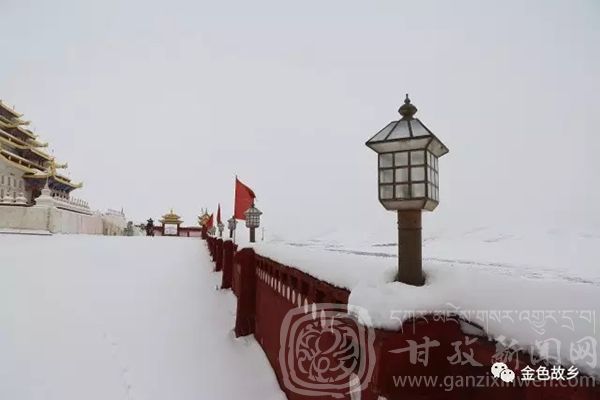 邂逅在最美的冬季,邂逅在秋天的图片