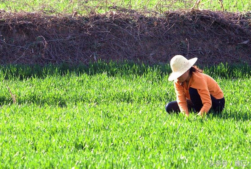 记忆中的乡村老味道,浓浓的乡土味让人回味无穷