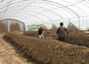 2017年下一个蓝海在农村，马上挣到人生的第一桶金