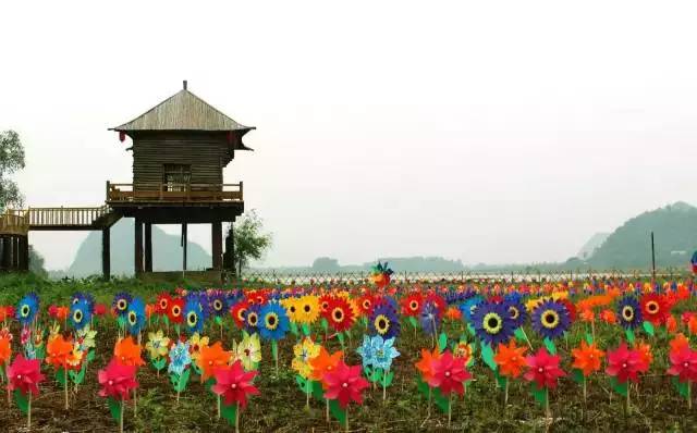 周末特色旅游景点推荐沈阳,沈阳周末好去处长白岛森林公园