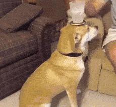 终于知道怎样跑才跑得快,知道这些学车技巧驾考轻松过