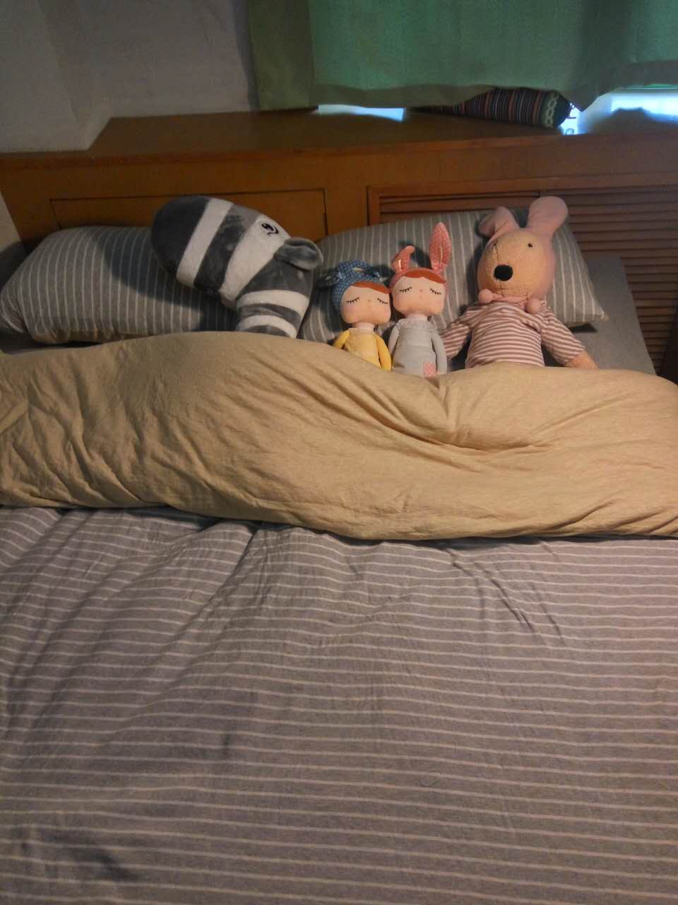 郑漂租房女孩,郑漂女孩租房怎么样