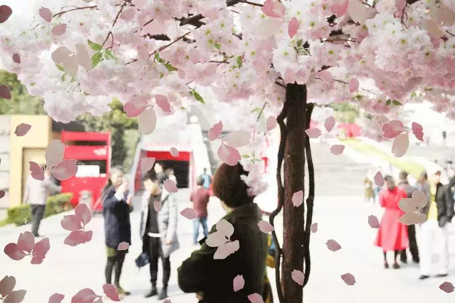 星巴克最好喝的前十名拿铁,好喝的星巴克拿铁