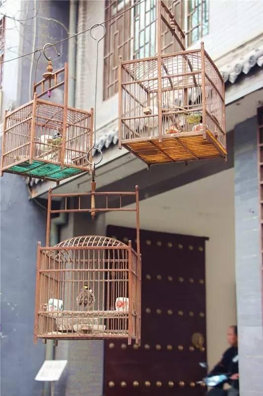 西安人眼中的回民街,西安回民街真的值得一去吗