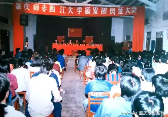 肇庆最好的学院有哪几个,肇庆市最美学校