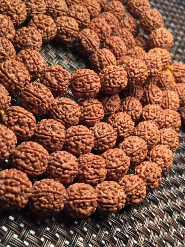 金刚圈子里混三年，这些品种都够呛能认全！