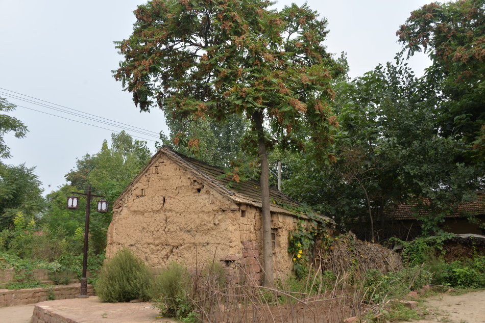 临沣寨中原第一红石古寨,河南古寨临沣寨的传说