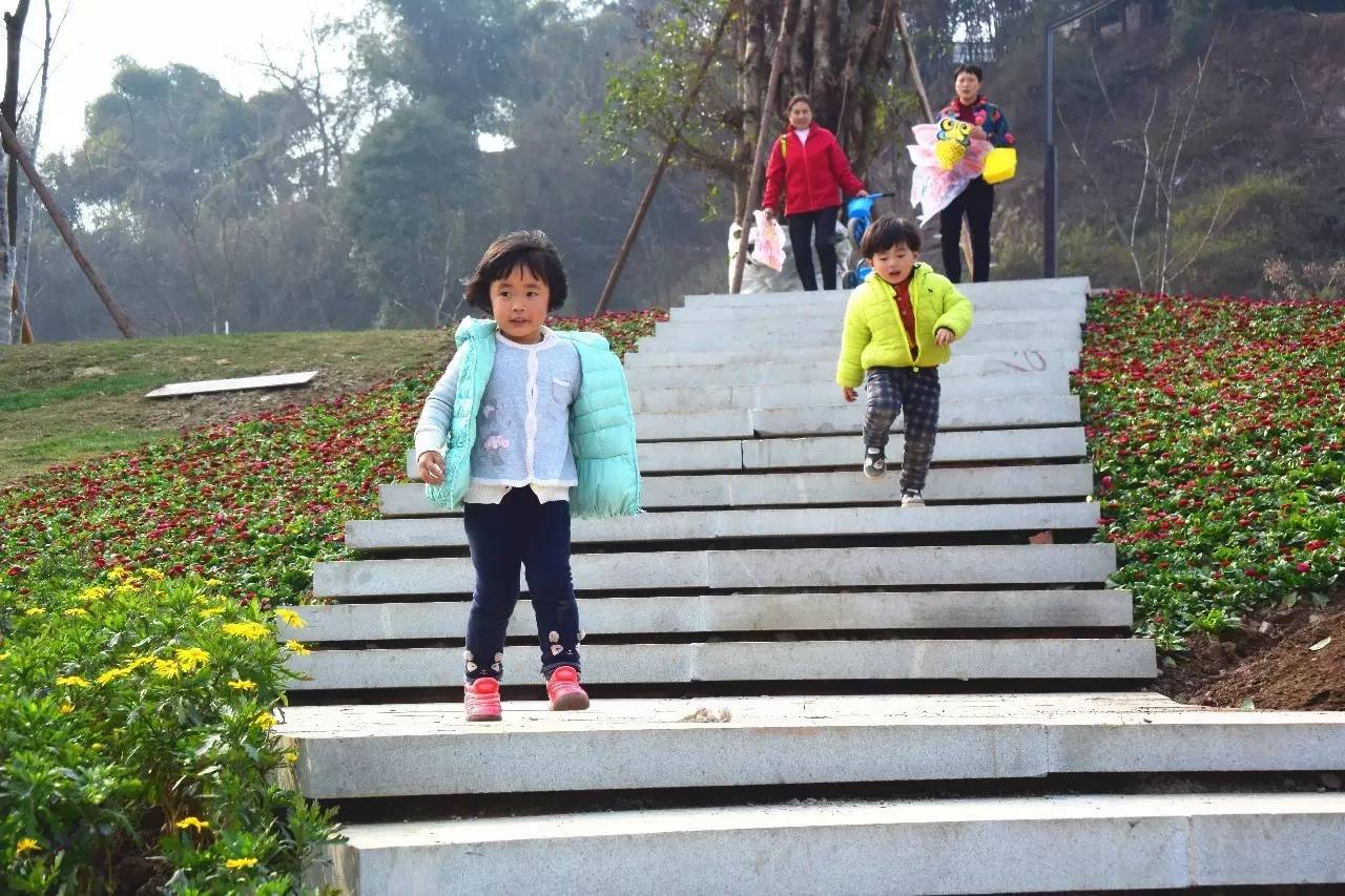 临港为什么那么多公园,宜宾临港公园