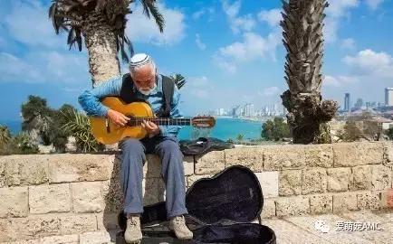 以色列宠物天堂,狗的天堂以色列