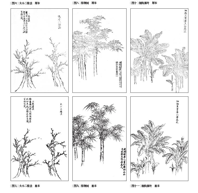 齐白石与芥子园画谱之缘,齐白石画作大全集