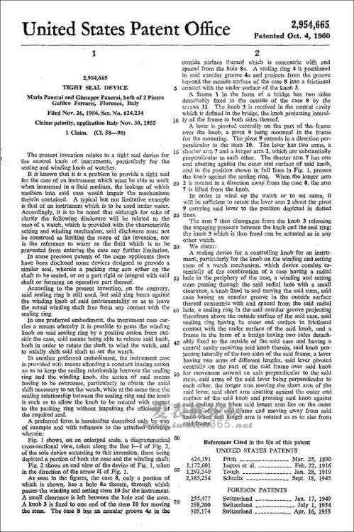 “胖大海”的半圆型的表冠防护设备来历揭秘