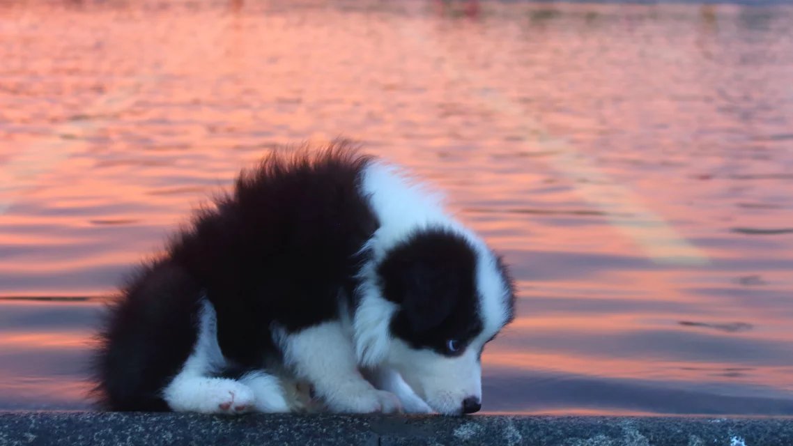 650d佳能2018年还能干嘛,2013佳能650d