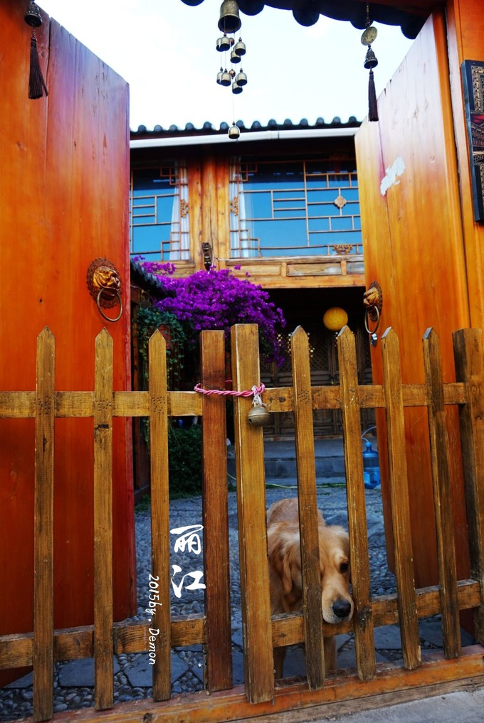 彩云以南，我们终于出发の我带着你，你带着钱！