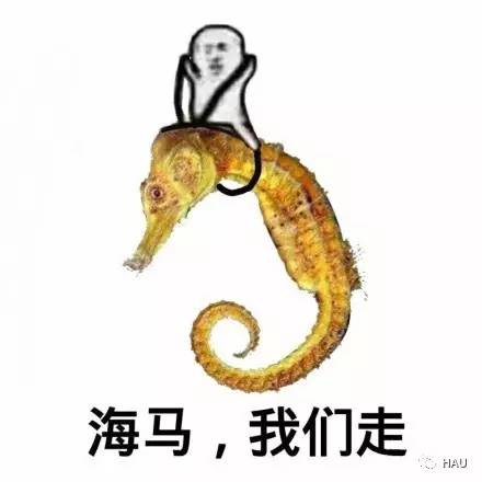 开心周末,周末开心表情包图片