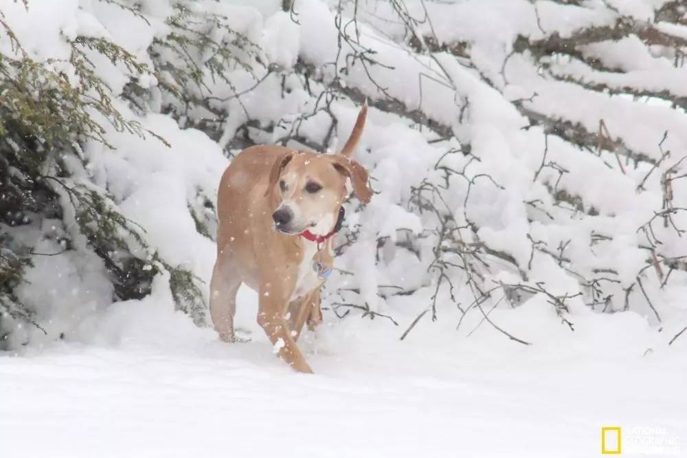 国家地理摄影图片冬天,中国国家地理景观冬季
