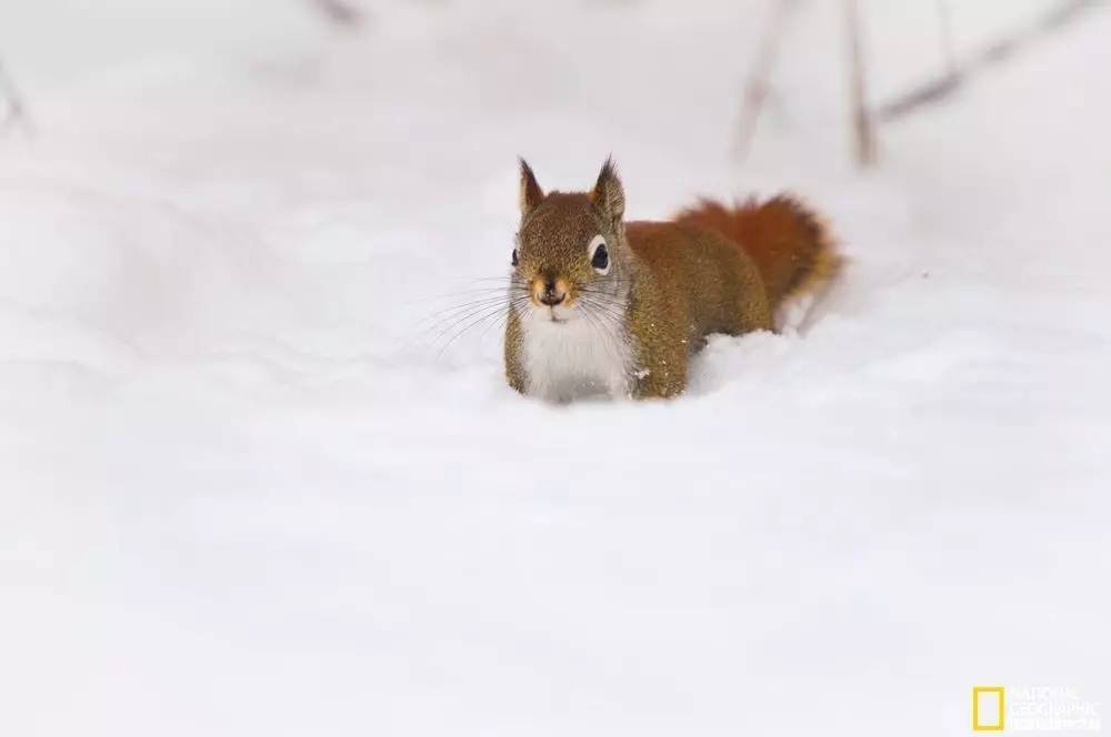 国家地理摄影图片冬天,中国国家地理景观冬季