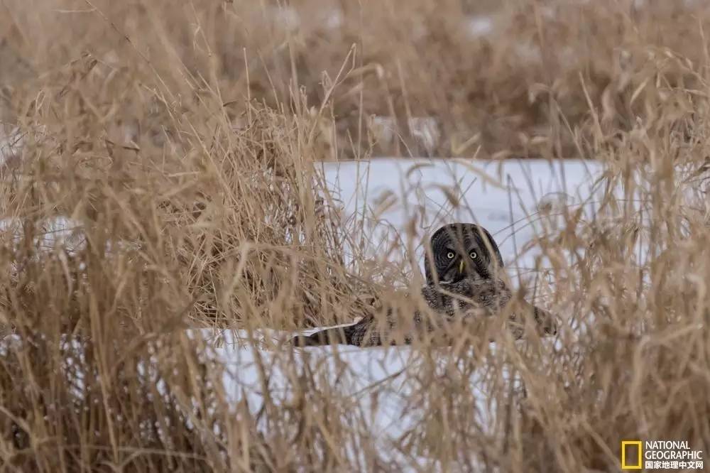 国家地理摄影图片冬天,中国国家地理景观冬季