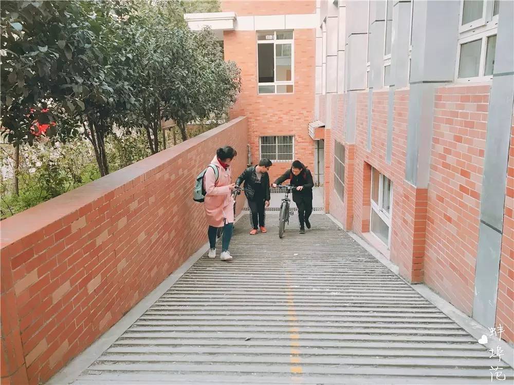 穿上校服，再去蚌埠这所学校走一遍，满满的回忆……