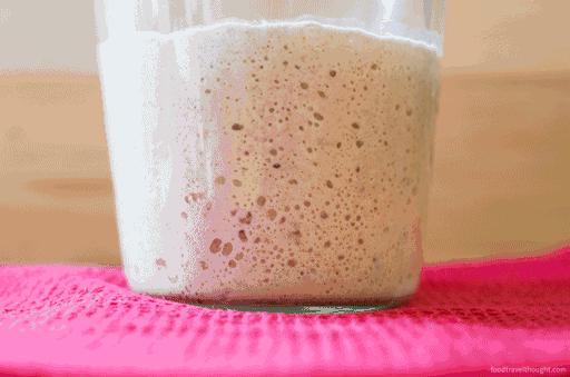 刷完BBC“探班”面包工厂，我好像懂得了红炉磨坊倒下的真正原因