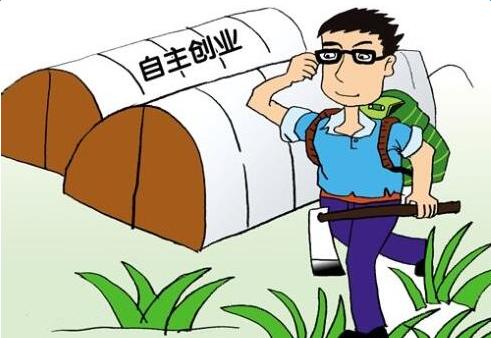 大学生农村创业优惠政策,大学生创业食品类项目