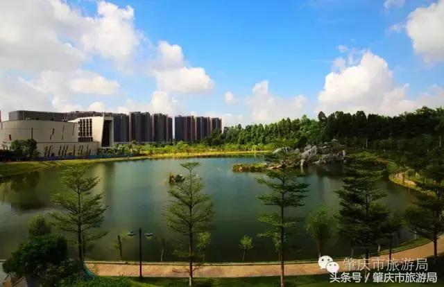 肇庆最好的学院有哪几个,肇庆市最美学校