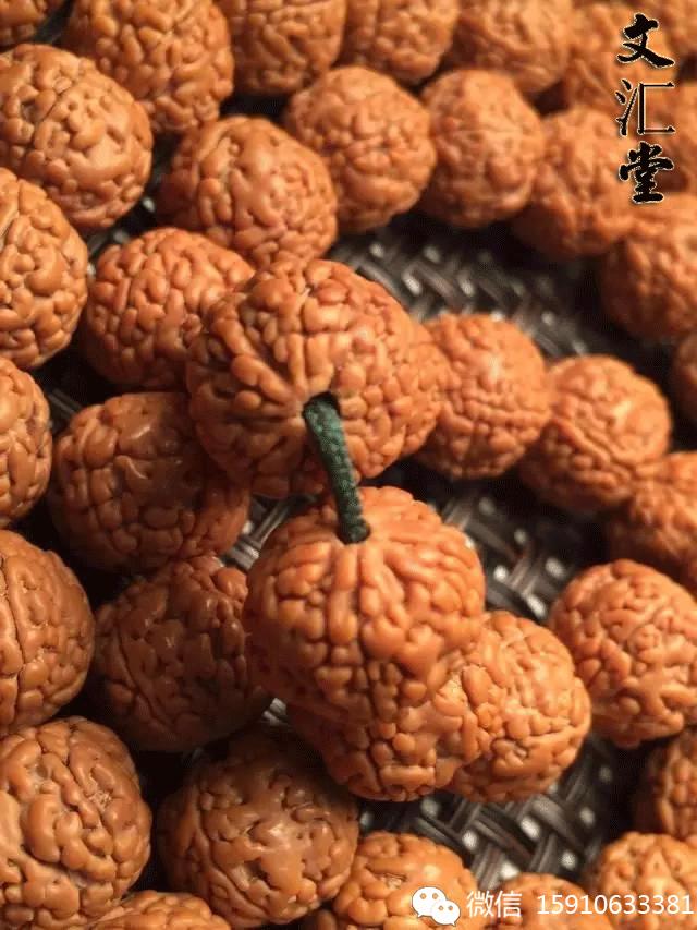 金刚圈子里混三年，这些品种都够呛能认全！