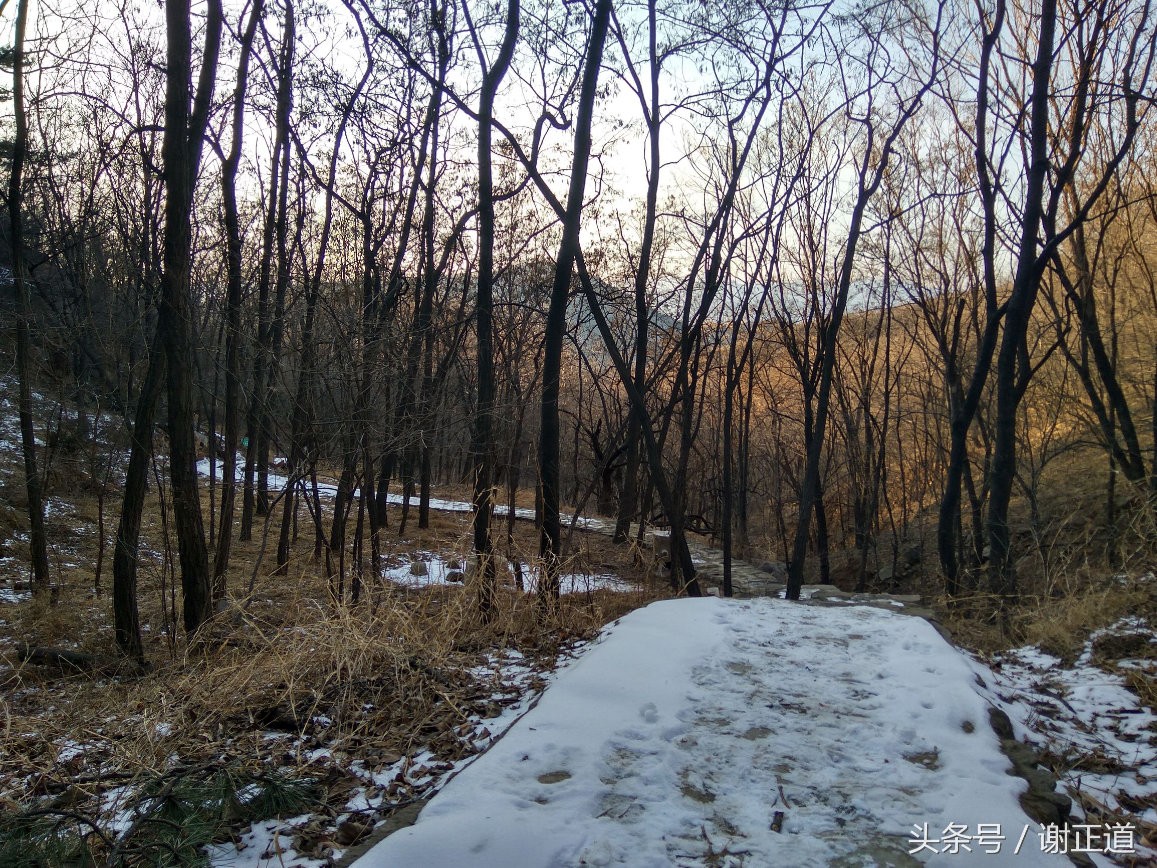 灵寿秋山风景区攻略,灵寿秋山自然风景区电话